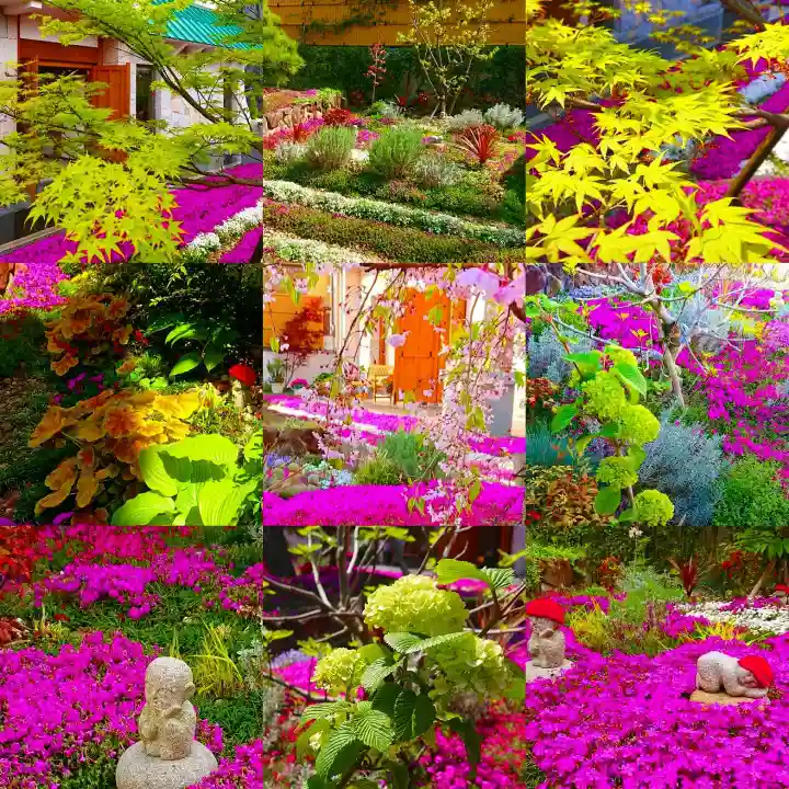 寿量山 速成寺の自然