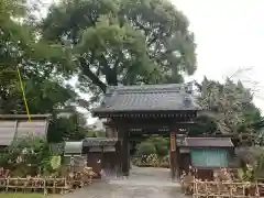 専念寺(愛知県)