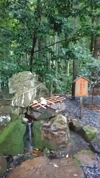 眞名井神社(籠神社奥宮)の手水舎