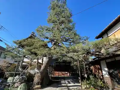 円光寺(滋賀県)