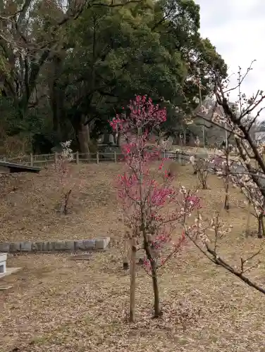 枚岡神社の{uncategorized: "未分類", other: "その他", undefined: "問題あり", building: "その他建物", grave: "お墓", sacred_gate: "鳥居", guardian: "狛犬", statue: "像", buddha: "仏像", history: "歴史", nature: "自然", garden: "庭園", animal: "動物", pagoda: "塔", temizu: "手水舎", mountain_gate: "山門・神門", sanctuary: "本殿・本堂", subordinate: "末社・摂社", art: "芸術", scenery: "景色", jizo: "地蔵", ema: "絵馬", goshuin: "御朱印", omikuji: "おみくじ", items: "授与品その他", amulet: "お守り", goshuincho: "御朱印帳", eats: "食事", festival: "お祭り", votive_dance: "神楽", shichigosan: "七五三参", wedding: "結婚式", experience: "体験その他", initially: "初詣", around: "周辺", anti_infection: "感染症対策"}