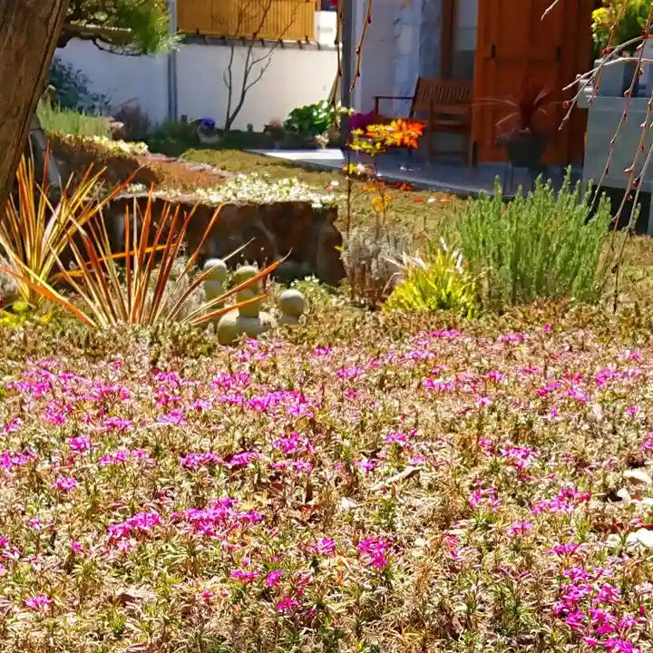 寿量山 速成寺の自然