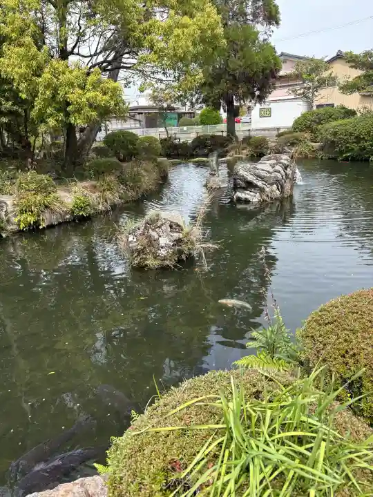 圓鏡寺の{uncategorized: "未分類", other: "その他", undefined: "問題あり", building: "その他建物", grave: "お墓", sacred_gate: "鳥居", guardian: "狛犬", statue: "像", buddha: "仏像", history: "歴史", nature: "自然", garden: "庭園", animal: "動物", pagoda: "塔", temizu: "手水舎", mountain_gate: "山門・神門", sanctuary: "本殿・本堂", subordinate: "末社・摂社", art: "芸術", scenery: "景色", jizo: "地蔵", ema: "絵馬", goshuin: "御朱印", omikuji: "おみくじ", items: "授与品その他", amulet: "お守り", goshuincho: "御朱印帳", eats: "食事", festival: "お祭り", votive_dance: "神楽", shichigosan: "七五三参", wedding: "結婚式", experience: "体験その他", initially: "初詣", around: "周辺", anti_infection: "感染症対策"}