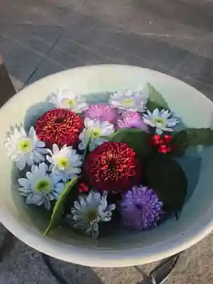 白金氷川神社の手水舎