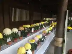 寒川神社(神奈川県)