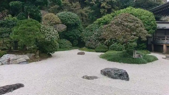 報国寺の庭園