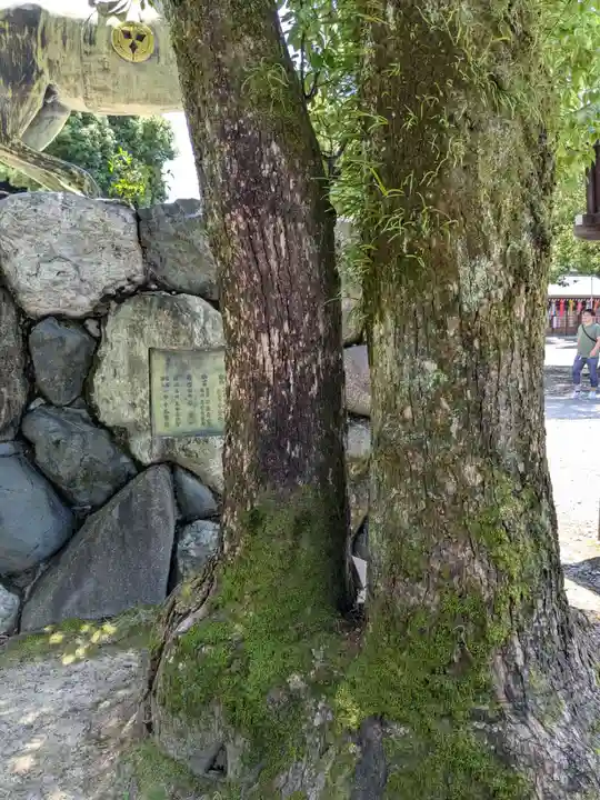真清田神社(愛知県)