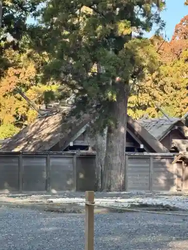 伊勢神宮外宮（豊受大神宮）の{uncategorized: "未分類", other: "その他", undefined: "問題あり", building: "その他建物", grave: "お墓", sacred_gate: "鳥居", guardian: "狛犬", statue: "像", buddha: "仏像", history: "歴史", nature: "自然", garden: "庭園", animal: "動物", pagoda: "塔", temizu: "手水舎", mountain_gate: "山門・神門", sanctuary: "本殿・本堂", subordinate: "末社・摂社", art: "芸術", scenery: "景色", jizo: "地蔵", ema: "絵馬", goshuin: "御朱印", omikuji: "おみくじ", items: "授与品その他", amulet: "お守り", goshuincho: "御朱印帳", eats: "食事", festival: "お祭り", votive_dance: "神楽", shichigosan: "七五三参", wedding: "結婚式", experience: "体験その他", initially: "初詣", around: "周辺", anti_infection: "感染症対策"}