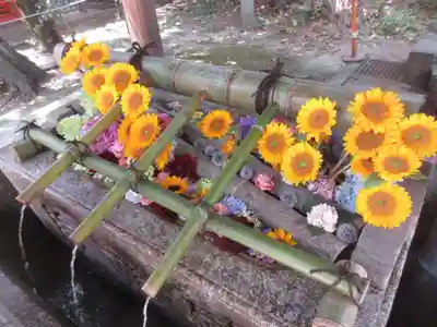 八坂神社(祇園さん)(京都府)