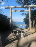 酒列磯前神社の{uncategorized: "未分類", other: "その他", undefined: "問題あり", building: "その他建物", grave: "お墓", sacred_gate: "鳥居", guardian: "狛犬", statue: "像", buddha: "仏像", history: "歴史", nature: "自然", garden: "庭園", animal: "動物", pagoda: "塔", temizu: "手水舎", mountain_gate: "山門・神門", sanctuary: "本殿・本堂", subordinate: "末社・摂社", art: "芸術", scenery: "景色", jizo: "地蔵", ema: "絵馬", goshuin: "御朱印", omikuji: "おみくじ", items: "授与品その他", amulet: "お守り", goshuincho: "御朱印帳", eats: "食事", festival: "お祭り", votive_dance: "神楽", shichigosan: "七五三参", wedding: "結婚式", experience: "体験その他", initially: "初詣", around: "周辺", anti_infection: "感染症対策"}