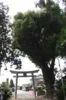 玉田神社の鳥居