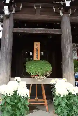 明治神宮(東京都)