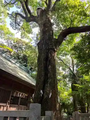 袖師神明宮(静岡県)