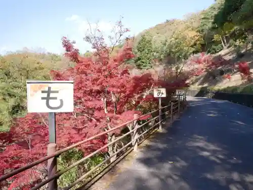 足利織姫神社の景色