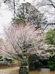 日先神社の自然