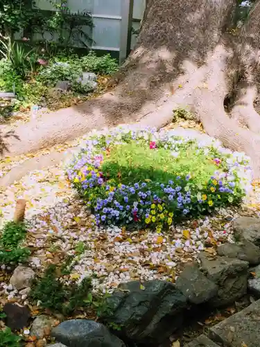 鳩ヶ谷氷川神社の自然