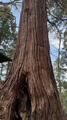 飯豊神社(宮城県)