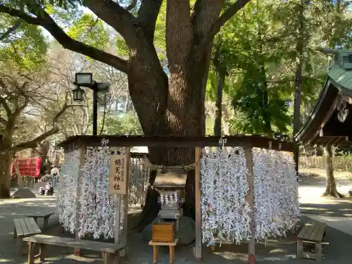 平塚八幡宮の{uncategorized: "未分類", other: "その他", undefined: "問題あり", building: "その他建物", grave: "お墓", sacred_gate: "鳥居", guardian: "狛犬", statue: "像", buddha: "仏像", history: "歴史", nature: "自然", garden: "庭園", animal: "動物", pagoda: "塔", temizu: "手水舎", mountain_gate: "山門・神門", sanctuary: "本殿・本堂", subordinate: "末社・摂社", art: "芸術", scenery: "景色", jizo: "地蔵", ema: "絵馬", goshuin: "御朱印", omikuji: "おみくじ", items: "授与品その他", amulet: "お守り", goshuincho: "御朱印帳", eats: "食事", festival: "お祭り", votive_dance: "神楽", shichigosan: "七五三参", wedding: "結婚式", experience: "体験その他", initially: "初詣", around: "周辺", anti_infection: "感染症対策"}