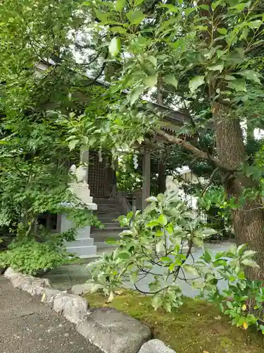 賀茂神社の自然