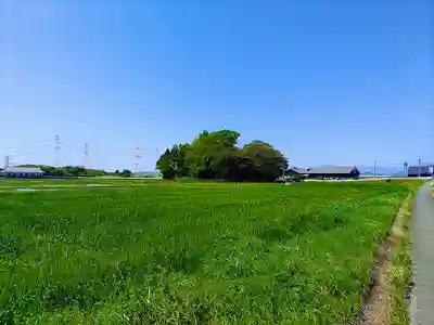 富岡神社の自然