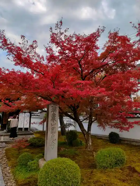 圓光寺のその他建物
