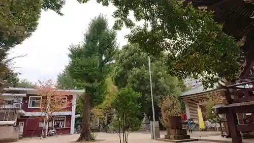 諏訪神社のその他建物