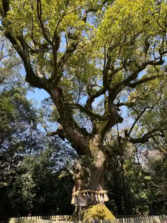 熱田神宮の{uncategorized: "未分類", other: "その他", undefined: "問題あり", building: "その他建物", grave: "お墓", sacred_gate: "鳥居", guardian: "狛犬", statue: "像", buddha: "仏像", history: "歴史", nature: "自然", garden: "庭園", animal: "動物", pagoda: "塔", temizu: "手水舎", mountain_gate: "山門・神門", sanctuary: "本殿・本堂", subordinate: "末社・摂社", art: "芸術", scenery: "景色", jizo: "地蔵", ema: "絵馬", goshuin: "御朱印", omikuji: "おみくじ", items: "授与品その他", amulet: "お守り", goshuincho: "御朱印帳", eats: "食事", festival: "お祭り", votive_dance: "神楽", shichigosan: "七五三参", wedding: "結婚式", experience: "体験その他", initially: "初詣", around: "周辺", anti_infection: "感染症対策"}