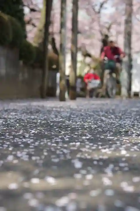 密藏院(埼玉県)