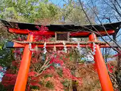 宇治上神社の鳥居