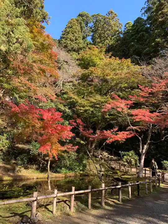 室生寺の庭園