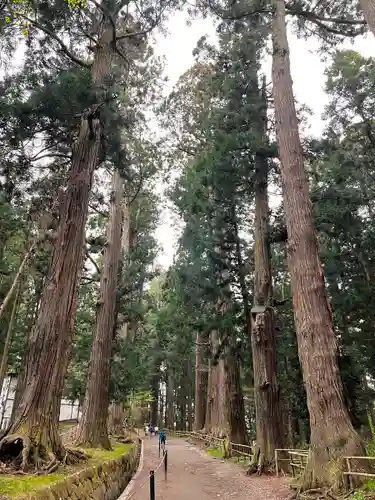 中尊寺の建物その他