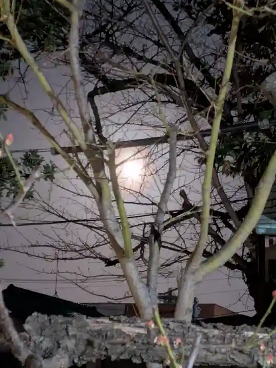 五方山熊野神社(東京都)