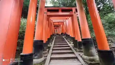 伏見稲荷大社　御膳谷奉拝所の鳥居