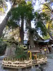 高千穂神社(宮崎県)