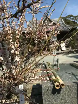 三笠神社(福岡県)