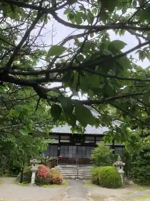 天桂院の御朱印