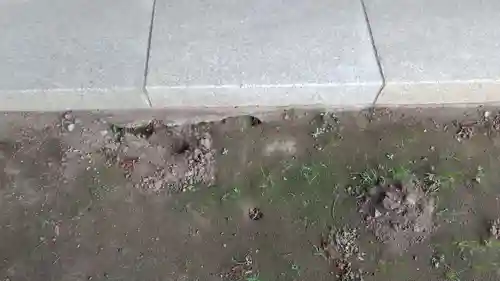 酒門神社(茨城県)