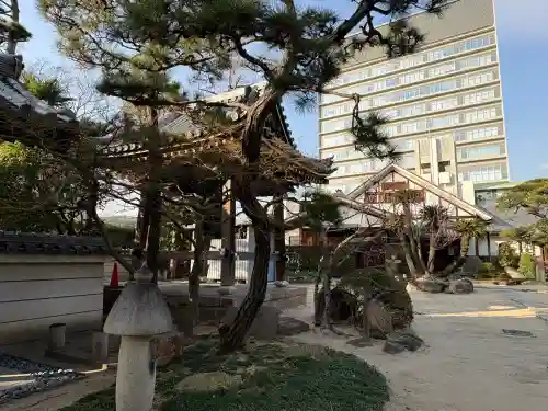 海清寺の{uncategorized: "未分類", other: "その他", undefined: "問題あり", building: "その他建物", grave: "お墓", sacred_gate: "鳥居", guardian: "狛犬", statue: "像", buddha: "仏像", history: "歴史", nature: "自然", garden: "庭園", animal: "動物", pagoda: "塔", temizu: "手水舎", mountain_gate: "山門・神門", sanctuary: "本殿・本堂", subordinate: "末社・摂社", art: "芸術", scenery: "景色", jizo: "地蔵", ema: "絵馬", goshuin: "御朱印", omikuji: "おみくじ", items: "授与品その他", amulet: "お守り", goshuincho: "御朱印帳", eats: "食事", festival: "お祭り", votive_dance: "神楽", shichigosan: "七五三参", wedding: "結婚式", experience: "体験その他", initially: "初詣", around: "周辺", anti_infection: "感染症対策"}