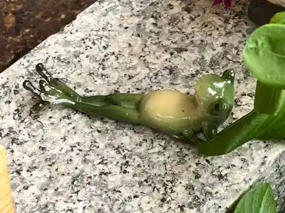 甘露寺(和歌山県)