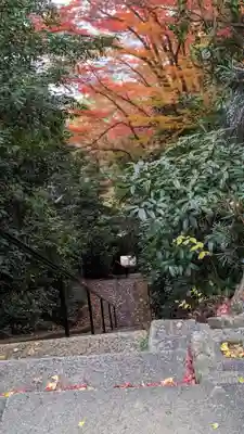 観音寺（山崎聖天）(京都府)