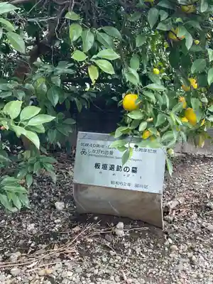品川神社(東京都)