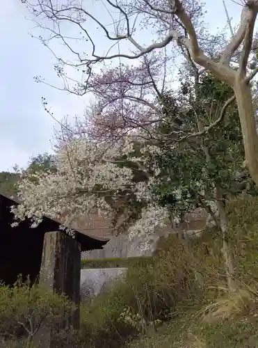 大善寺(山梨県)