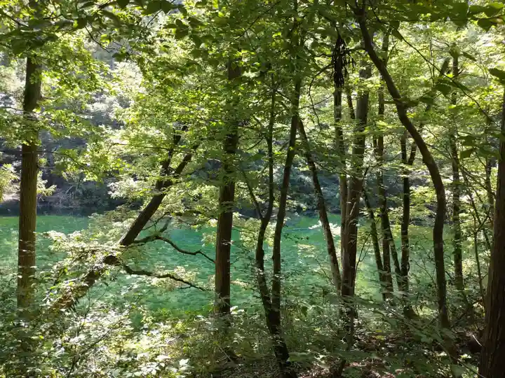 龍ヶ窪神社(新潟県)