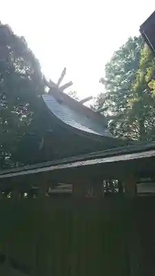 鷲神社の本殿・本堂