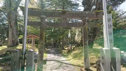 諏訪神社の鳥居