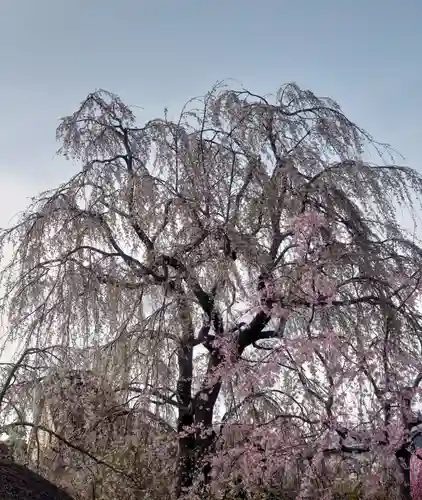 常泉寺(神奈川県)