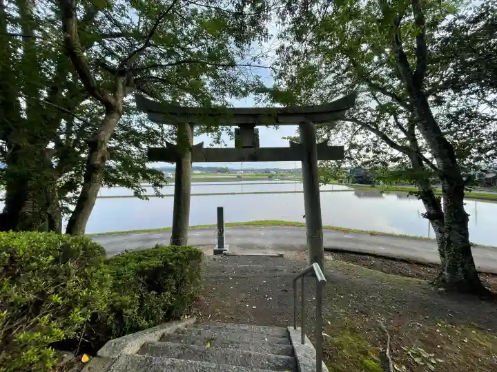 八幡神社 (山本)の{uncategorized: "未分類", other: "その他", undefined: "問題あり", building: "その他建物", grave: "お墓", sacred_gate: "鳥居", guardian: "狛犬", statue: "像", buddha: "仏像", history: "歴史", nature: "自然", garden: "庭園", animal: "動物", pagoda: "塔", temizu: "手水舎", mountain_gate: "山門・神門", sanctuary: "本殿・本堂", subordinate: "末社・摂社", art: "芸術", scenery: "景色", jizo: "地蔵", ema: "絵馬", goshuin: "御朱印", omikuji: "おみくじ", items: "授与品その他", amulet: "お守り", goshuincho: "御朱印帳", eats: "食事", festival: "お祭り", votive_dance: "神楽", shichigosan: "七五三参", wedding: "結婚式", experience: "体験その他", initially: "初詣", around: "周辺", anti_infection: "感染症対策"}