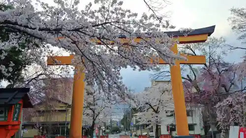 平野神社の鳥居