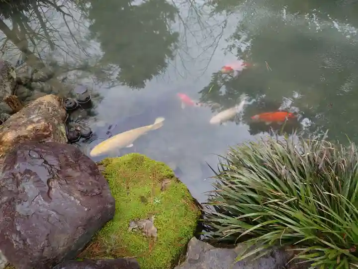 五泉八幡宮(新潟県)