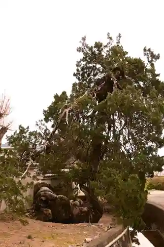 光明坊(広島県)